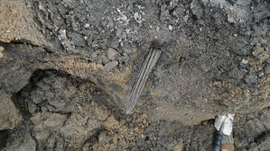 "1,500년 전 만든 것"&hellip;경기 양주서 발견된 '타임 캡슐'