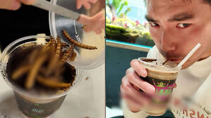 커피 위 '바퀴벌레 토핑'&hellip;"한 잔에 9200원"