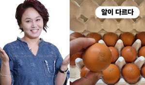 이경실, '고가 달걀' 논란에 입 열었다…"매우 억울" 들어보니
