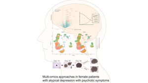 KAIST "'마음의 병' 우울증, 몸 전체 면역반응 이상과도 연관"