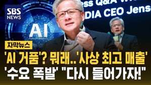 [자막뉴스] 'AI 거품'? 뭐래&hellip;사상 최고 매출 "다시 들어가자!"