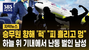 [자막뉴스] 승무원 향해 '퍽' "피 흘리고 멍"&hellip;하늘 위 기내에서 난동 벌인 남성