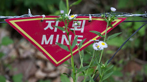 파주 서부전선 DMZ에서 폭발 사고&hellip;육군 부사관 1명 부상