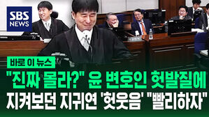 "이거 알죠?" 윤 변호인 헛발질에 지켜보던 지귀연 '헛웃음'&hellip;"빨리 넘어 가자" [바로이뉴스]