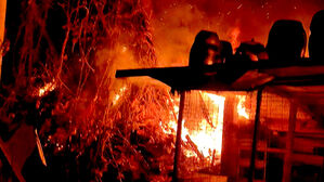 [아리]인제 산불 대응 1단계..주민 12명 대피