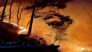 [낮리]인제 산불 대응 1단계..헬기 투입해 진화 총력(OK)