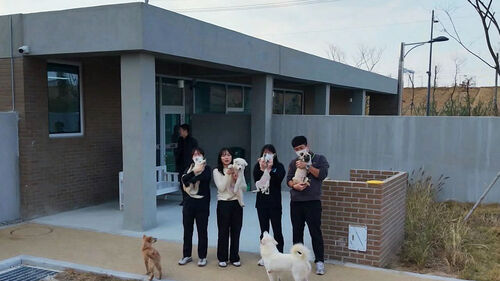 "안락사 제로 향해"…청주 반려동물 보호센터 새 출발