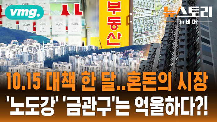 [뉴스토리 in 비머] 초양극화의 서막..강남3구, '마용성'은 또 신고가!