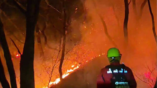 강원 양양 산불 대응 1단계 발령…04시 진화율 45%