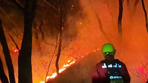 강원도 양양 산불 진화 완료&hellip;발생 16시간 만