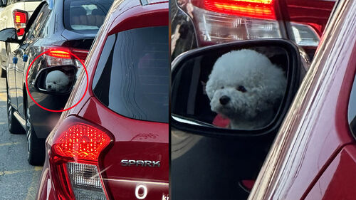 "저 차 이상한데" 봤더니…운전석에 떡하니 깜짝