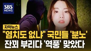 [자막뉴스] "염치도 없냐" 국민들 '분노'&hellip;나나 자택 강도, 잔꾀 부리다 '역풍' 맞았다
