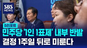 [D리포트] '1인 1표제' 내부 반발 확산에 결정 연기