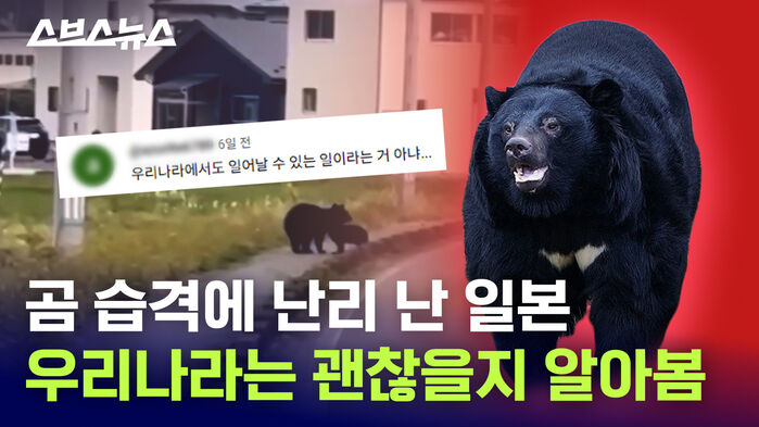 곰 습격에 난리 난 일본 우리나라는 괜찮을지 알아봄