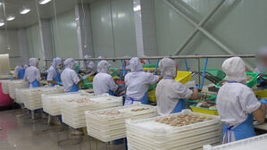 관세 감면 악용&hellip;일본산 가리비를 태국산으로 속여 수입