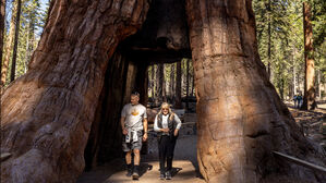 내년부터 미 국립공원 방문하는 외국인은 내국인보다 비싼 입장료