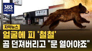 [자막뉴스] 곰에 습격당한 일본 라멘집 직원&hellip;곰 던져버리고 "가게는 반드시 열어야"