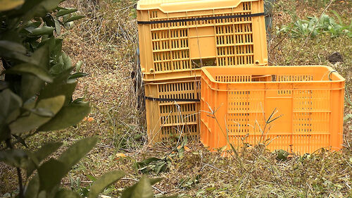 하루아침에 돌연 증발…"죄다 당했다" 제주에서 무슨 일