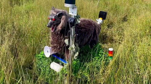 처음엔 비웃더니…"나도 살래" 문의 폭증