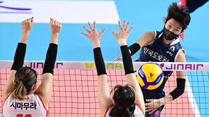 여자부 도로공사 10연승&hellip;남자부 신영철 감독 300승