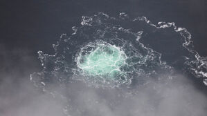 '노르트스트림 폭파' 우크라 용의자 독일로 인도