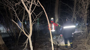 충남 태안에서 산불 잇따라&hellip;인명피해 없어