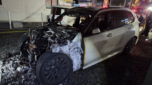 주차된 BMW 하이브리드 차량, 화재로 전소&hellip;1억 원 피해