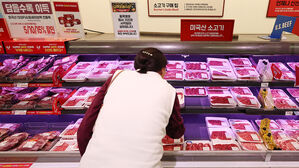 10월 국세수입 2.8조 증가&hellip;소비쿠폰&middot;고환율에 부가세↑