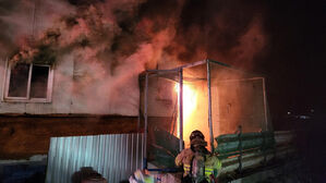 경북 성주 돈사 화재로 새끼돼지 300마리 폐사