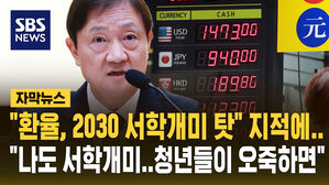 [자막뉴스] "환율, 2030 서학개미 탓" 지적에&hellip;"나도 서학개미 청년들이 오죽하면"