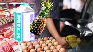 소비자물가 2.4% 상승&hellip;정부 "물가 안정에 총력 대응"