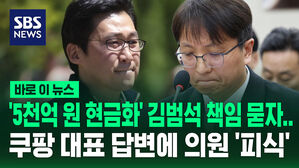 [바로이뉴스] '5천억 원 현금화' 김범석 책임 묻자&hellip;쿠팡 대표 답변에 황정아 의원 '피식'