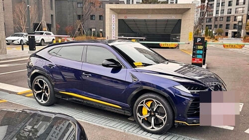 주차장 차단기 앞 람보르기니…"화나서" 황당한 길막