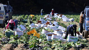 농어촌 기본소득 시범사업 지원 지역 10개로 늘어