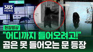 [현장영상] 일본 '곰 차단 자동문' 등장, 지하철역 화장실까지 출몰한 그놈