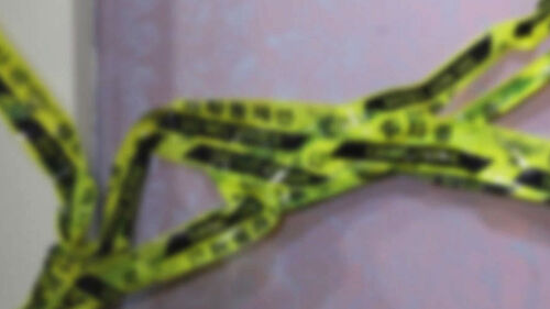 창원 모텔서 흉기 난동…3명 사망·1명 중상