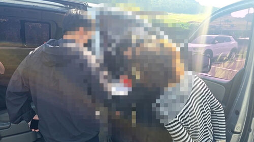 제주시내서 관광객 태우더니…수상한 승합차 뜻밖 정체