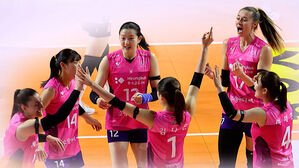 흥국생명, 짜릿한 역전승&hellip;도로공사 11연승 저지