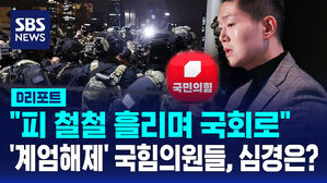 [D리포트] "피 철철 흘리며 국회로" '계엄 해제 찬성' 국힘 의원들, 지금 심정은?