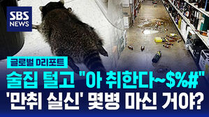 [글로벌D리포트] 술집 털고 "아 취한다&sim;" '만취 실신' 몇 병 마신거야?