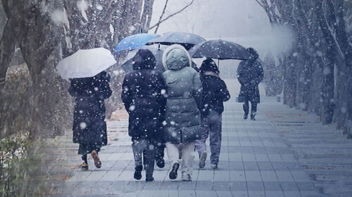 서울 첫눈부터 대설주의보…퇴근길 곳곳 대란