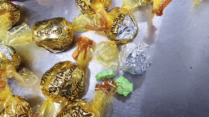 올해 국경서 마약 3000kg 적발&hellip;캄보디아 등과 합동 단속