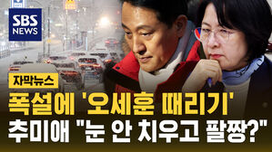 [자막뉴스] 폭설에 '오세훈 때리기'&hellip;추미애 "눈 안 치우고 팔짱?"