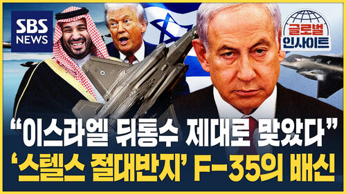 글로벌인사이트