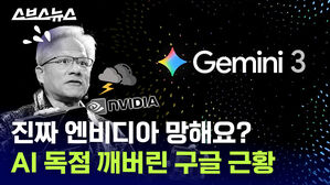 진짜 엔비디아 망해요? AI 독점 깨버린 구글 근황