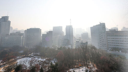 기온 오르자 불청객 불쑥…켜켜이 쌓여 콜록