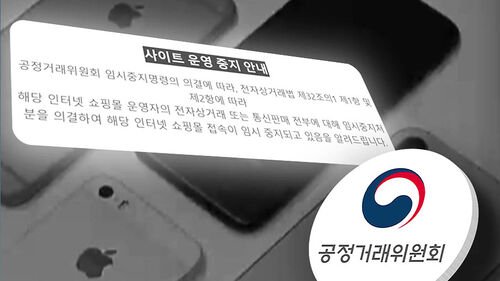 "돈 받고 잠적" 피해자 속출…쇼핑몰의 실체