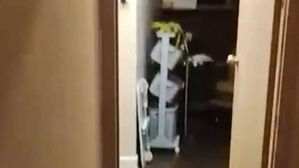 "옆집 악취" 또 한국인 시신이…피 묻은 자국이 수상?