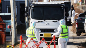 전남 영암 오리농장서 고병원성 조류인플루엔자 발생&hellip;올 동절기 8번째