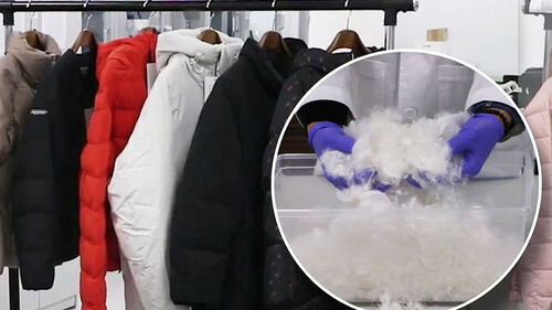 '구스다운' 열어 보니…거위털 빼고, 오리털 넣고